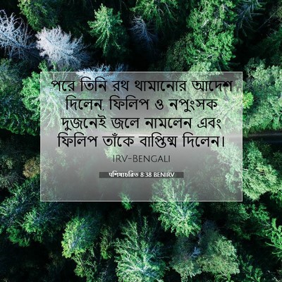 Picture 07 - पশিষ্যচরিত 8:38 BENIRV - পরে তিনি রথ - Bible Verse Picture