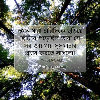 Picture 07 - पশিষ্যচরিত 8:4 BENIRV - তখন যারা চারিদিকে - Bible Verse Picture