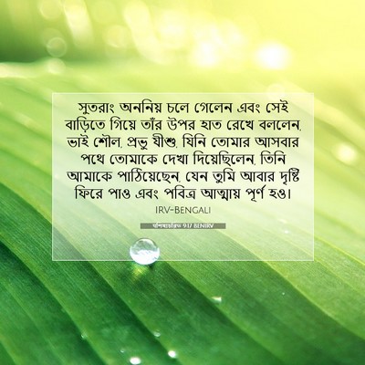Picture 07 - पশিষ্যচরিত 9:17 BENIRV - সুতরাং অননিয় চলে - Bible Verse Picture