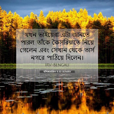 Picture 07 - पশিষ্যচরিত 9:30 BENIRV - যখন ভাইয়েরা এটা - Bible Verse Picture