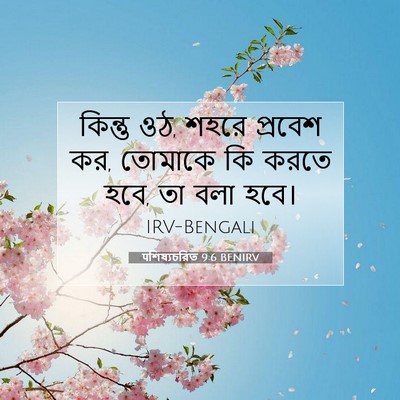 Picture 07 - पশিষ্যচরিত 9:6 BENIRV - কিন্তু ওঠ, শহরে - Bible Verse Picture