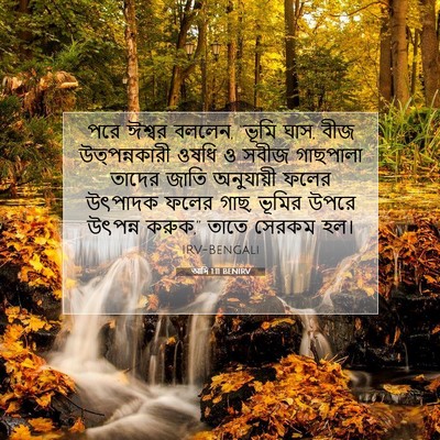 Picture 07 - আদি 1:11 BENIRV - পরে ঈশ্বর বললেন, - Bible Verse Picture