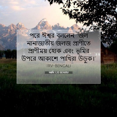 Picture 07 - আদি 1:20 BENIRV - পরে ঈশ্বর বললেন, - Bible Verse Picture