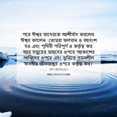 Picture 07 - আদি 1:28 BENIRV - পরে ঈশ্বর তাদেরকে - Bible Verse Picture