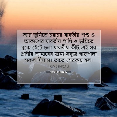 Picture 07 - আদি 1:30 BENIRV - আর ভূমিতে চরাচর - Bible Verse Picture
