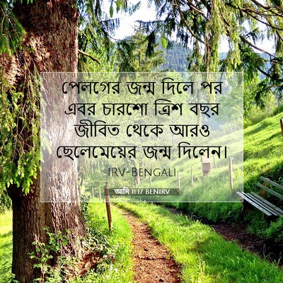 Picture 07 - আদি 11:17 BENIRV - পেলগের জন্ম দিলে - Bible Verse Picture