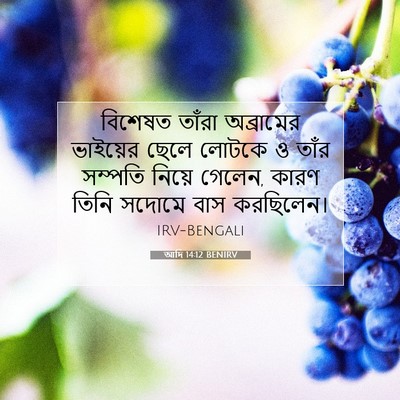 Picture 07 - আদি 14:12 BENIRV - বিশেষত তাঁরা - Bible Verse Picture