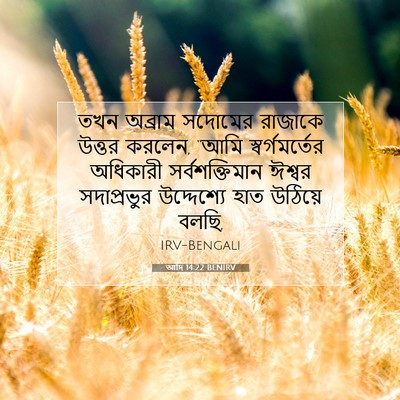 Picture 07 - আদি 14:22 BENIRV - তখন অব্রাম সদোমের - Bible Verse Picture