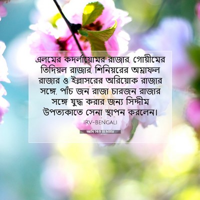 Picture 07 - আদি 14:9 BENIRV - এলমের কদর্লায়োমর - Bible Verse Picture