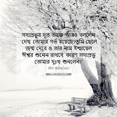 Picture 07 - আদি 16:11 BENIRV - সদাপ্রভুর দূত - Bible Verse Picture