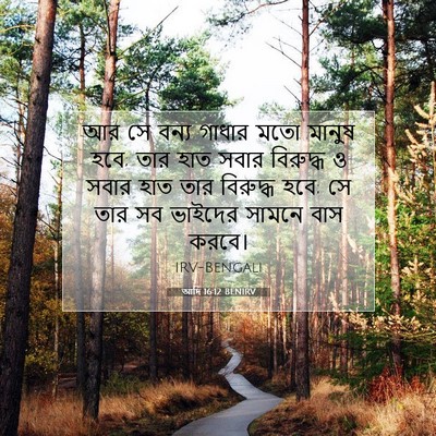 Picture 07 - আদি 16:12 BENIRV - আর সে বন্য গাধার - Bible Verse Picture