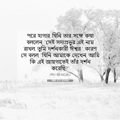 Picture 07 - আদি 16:13 BENIRV - পরে হাগার, যিনি তার - Bible Verse Picture