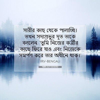 Picture 07 - আদি 16:9 BENIRV - সারীর কাছ থেকে - Bible Verse Picture