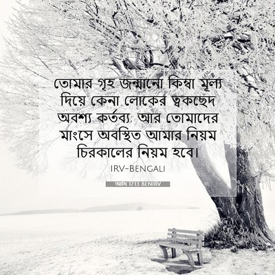 Picture 07 - আদি 17:13 BENIRV - তোমার গৃহ জন্মানো - Bible Verse Picture