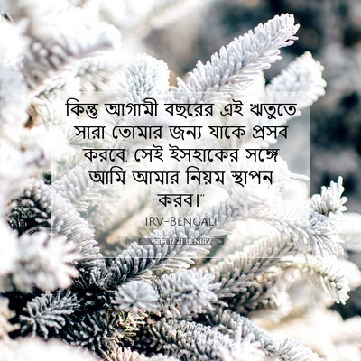 Picture 07 - আদি 17:21 BENIRV - কিন্তু আগামী - Bible Verse Picture