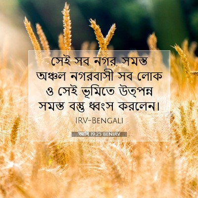 Picture 07 - আদি 19:25 BENIRV - সেই সব নগর, সমস্ত - Bible Verse Picture