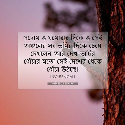 Picture 07 - আদি 19:28 BENIRV - সদোম ও ঘমোরার দিকে - Bible Verse Picture