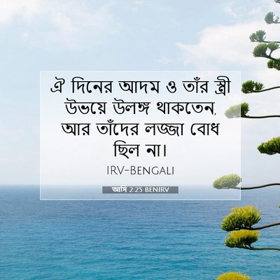 Picture 07 - আদি 2:25 BENIRV - ঐ দিনের আদম ও তাঁর - Bible Verse Picture