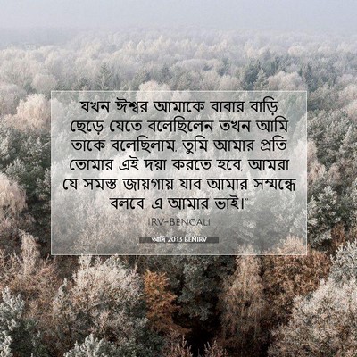 Picture 07 - আদি 20:13 BENIRV - যখন ঈশ্বর আমাকে - Bible Verse Picture
