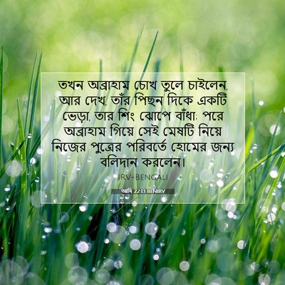 Picture 07 - আদি 22:13 BENIRV - তখন অব্রাহাম চোখ - Bible Verse Picture