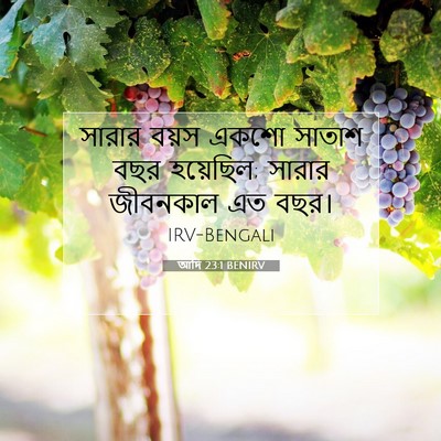 Picture 07 - আদি 23:1 BENIRV - সারার বয়স একশো - Bible Verse Picture
