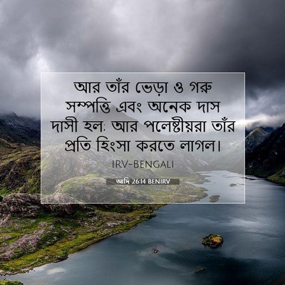 Picture 07 - আদি 26:14 BENIRV - আর তাঁর ভেড়া ও গরু - Bible Verse Picture