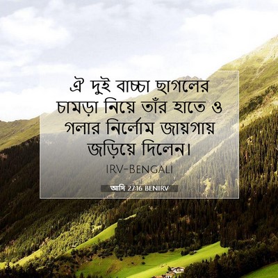 Picture 07 - আদি 27:16 BENIRV - ঐ দুই বাচ্চা - Bible Verse Picture