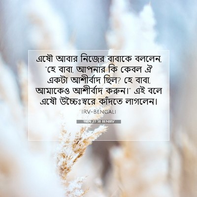 Picture 07 - আদি 27:38 BENIRV - এষৌ আবার নিজের - Bible Verse Picture