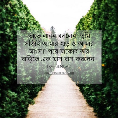 Picture 07 - আদি 29:14 BENIRV - তাতে লাবন বললেন, - Bible Verse Picture