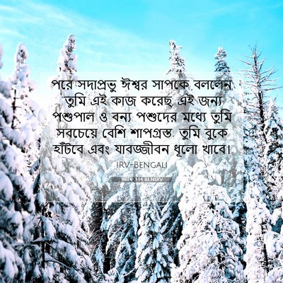 Picture 07 - আদি 3:14 BENIRV - পরে সদাপ্রভু - Bible Verse Picture
