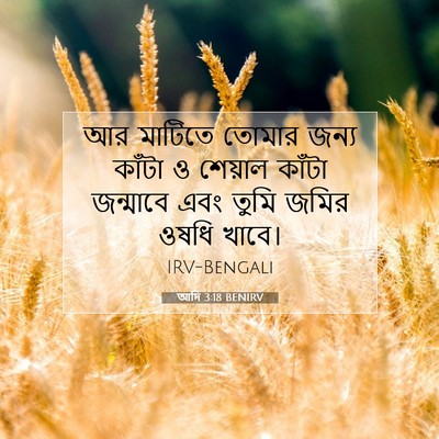 Picture 07 - আদি 3:18 BENIRV - আর মাটিতে তোমার - Bible Verse Picture