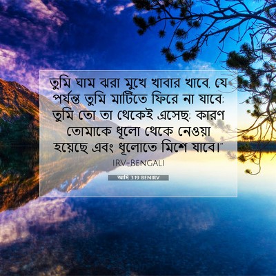 Picture 07 - আদি 3:19 BENIRV - তুমি ঘাম ঝরা মুখে - Bible Verse Picture