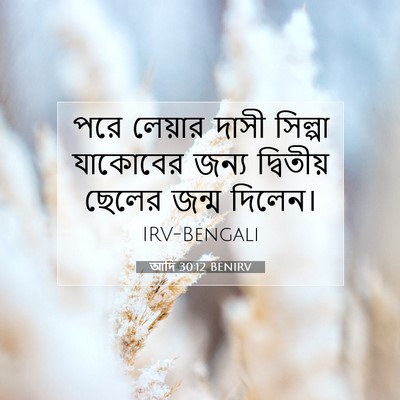 Picture 07 - আদি 30:12 BENIRV - পরে লেয়ার দাসী - Bible Verse Picture