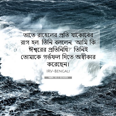 Picture 07 - আদি 30:2 BENIRV - তাতে রাহেলের - Bible Verse Picture