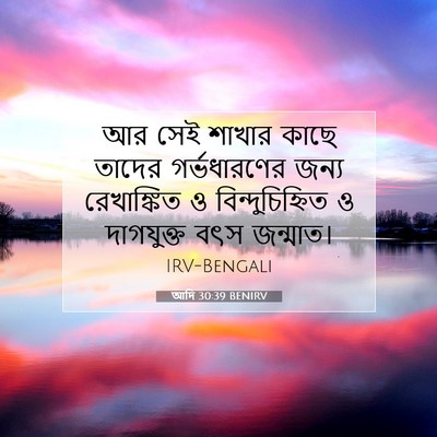 Picture 07 - আদি 30:39 BENIRV - আর সেই শাখার কাছে - Bible Verse Picture