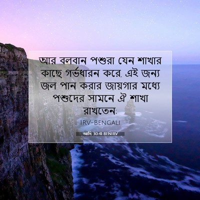 Picture 07 - আদি 30:41 BENIRV - আর বলবান পশুরা যেন - Bible Verse Picture