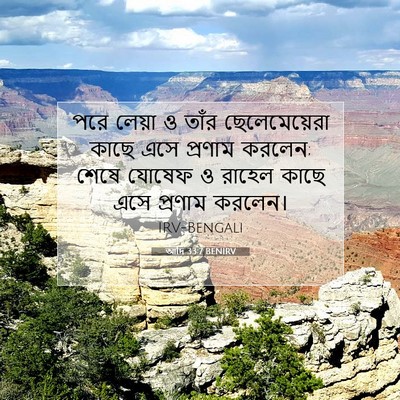 Picture 07 - আদি 33:7 BENIRV - পরে লেয়া ও তাঁর - Bible Verse Picture