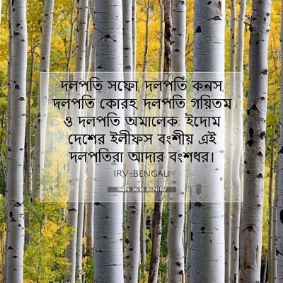 Picture 07 - আদি 36:16 BENIRV - দলপতি সফো, দলপতি - Bible Verse Picture