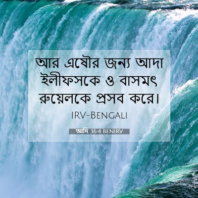 Picture 07 - আদি 36:4 BENIRV - আর এষৌর জন্য আদা - Bible Verse Picture