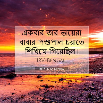 Picture 07 - আদি 37:12 BENIRV - একবার তার ভায়েরা - Bible Verse Picture