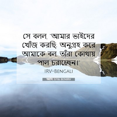 Picture 07 - আদি 37:16 BENIRV - সে বলল, “আমার - Bible Verse Picture