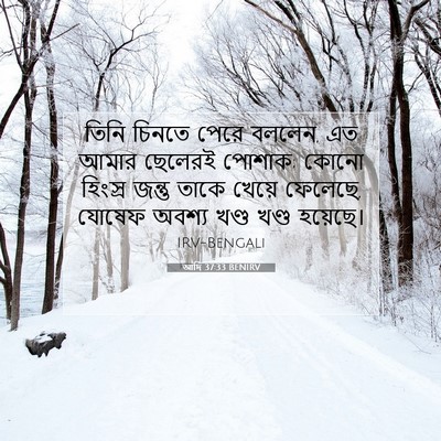 Picture 07 - আদি 37:33 BENIRV - তিনি চিনতে পেরে - Bible Verse Picture