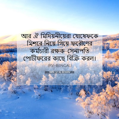 Picture 07 - আদি 37:36 BENIRV - আর ঐ - Bible Verse Picture
