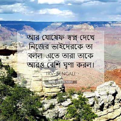 Picture 07 - আদি 37:5 BENIRV - আর যোষেফ স্বপ্ন - Bible Verse Picture