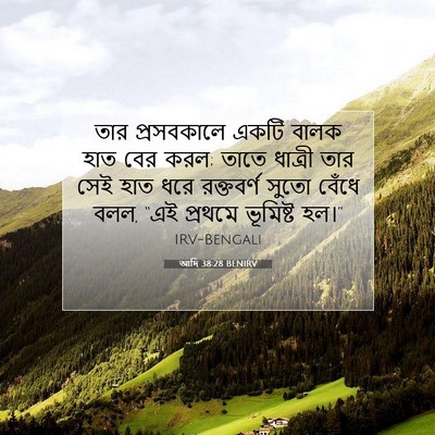 Picture 07 - আদি 38:28 BENIRV - তার প্রসবকালে - Bible Verse Picture