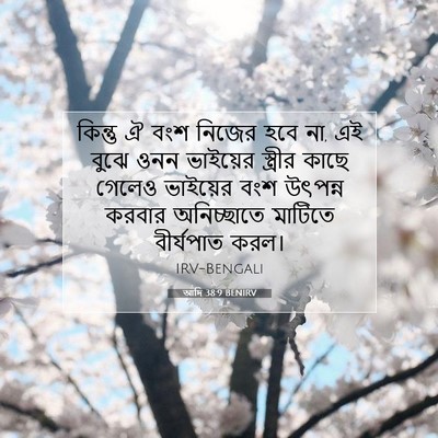 Picture 07 - আদি 38:9 BENIRV - কিন্তু ঐ বংশ নিজের - Bible Verse Picture