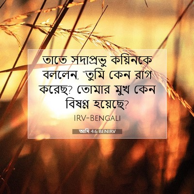 Picture 07 - আদি 4:6 BENIRV - তাতে সদাপ্রভু - Bible Verse Picture