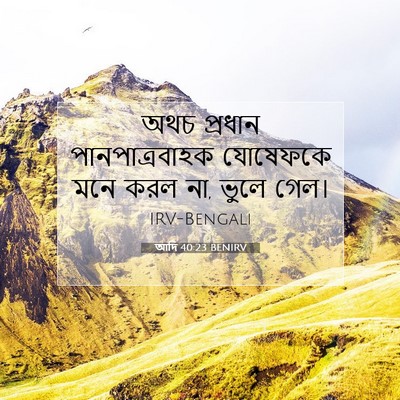 Picture 07 - আদি 40:23 BENIRV - অথচ প্রধান - Bible Verse Picture