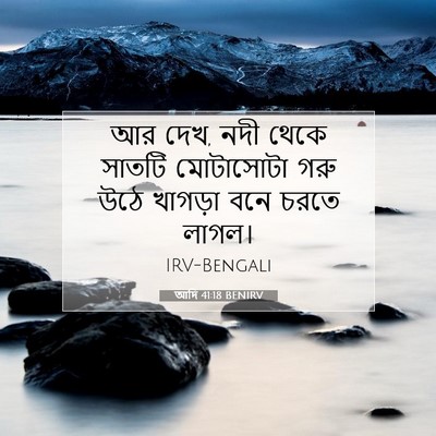 Picture 07 - আদি 41:18 BENIRV - আর দেখ, নদী থেকে - Bible Verse Picture