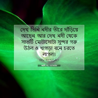 Picture 07 - আদি 41:2 BENIRV - দেখ, তিনি নদীর তীরে - Bible Verse Picture